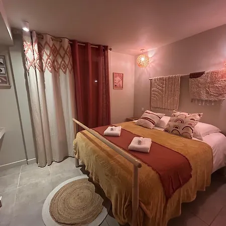 Villa Avec 200M De Jardin Prive La Sablhyeres * Hyères